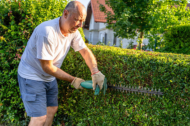 Professional Landscaping in Sawbridgeworth – Transform Your Garden with The Landscape Man professional landscaping in Sawbridgeworth
